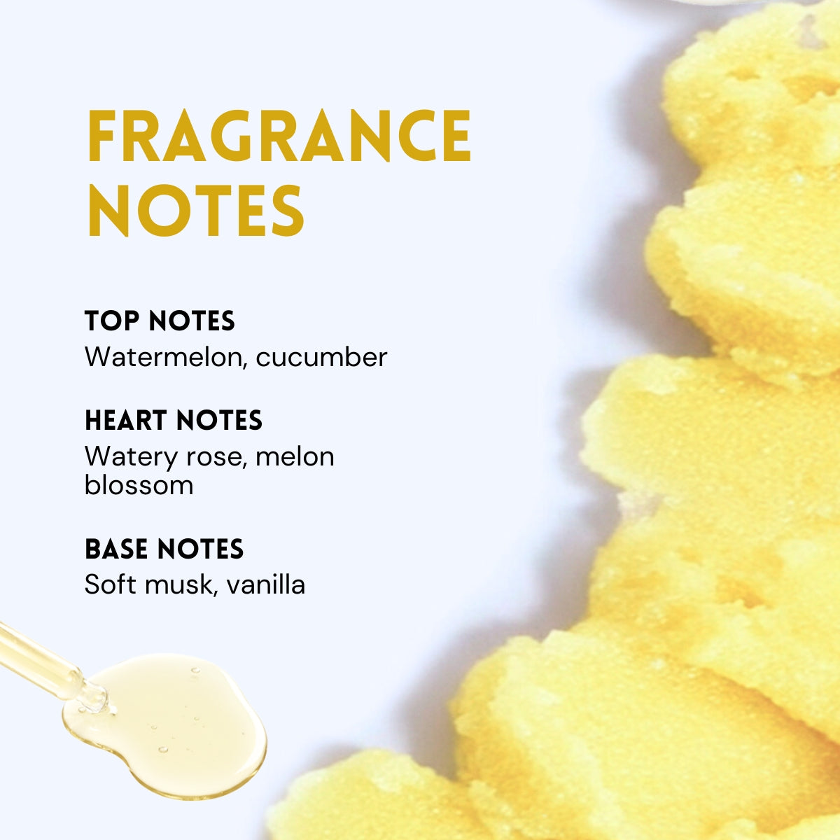 Vanilla Skin Shave & Seal Duo