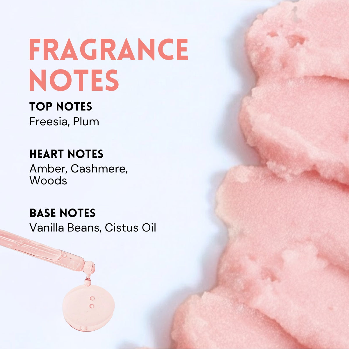 Sugar Plum Shave & Seal Duo