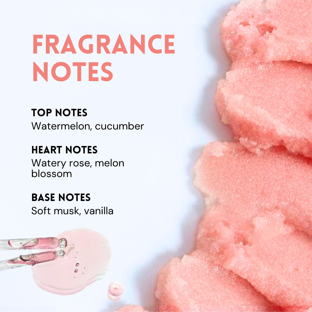 Watermelon Mojito Shave & Seal Duo